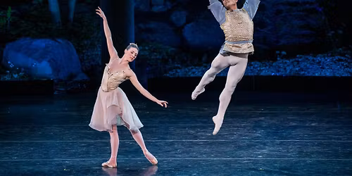 International Ballet Stars: Swan Lake