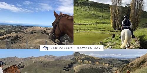DRNZ 2025 Esk Valley-Hawkes Bay 