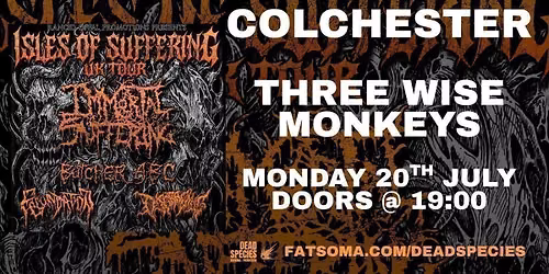COLCHESTER: IMMORTAL SUFFERING (USA) + BUTCHER ABC, FECUNDATION, DISGRACING
