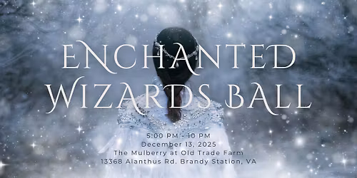 Enchanted Wizards Ball