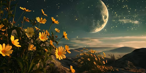 Summer New Moon Sound Bath with Janelle Leonard