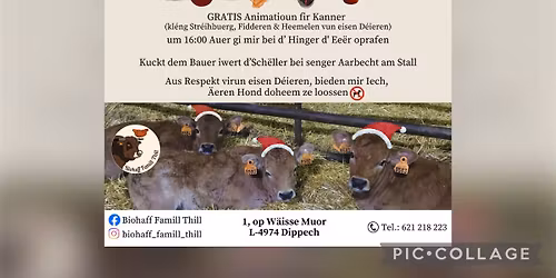 Advents-Feier an der Scheier 2025🎅🎄