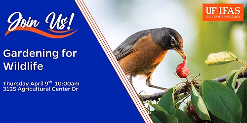 Gardening for Wildlife