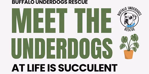 Meet the Underdogs - Life is Succulent Bookfair
