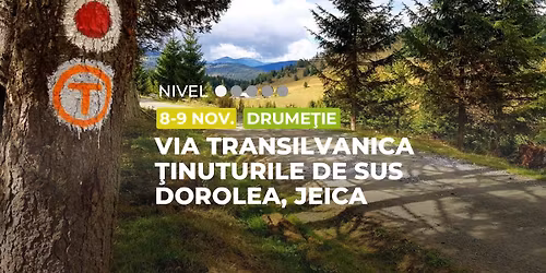  Drume\u021bie: Via Transilvanica, Dorolea - Jeica