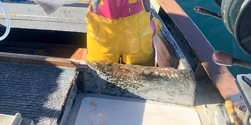 Sunday, Salmon, Champagne Brunch w\/Katfish Salmon Co!