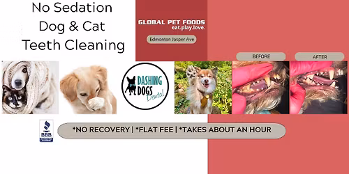 No Sedation Pet Teeth Cleaning Event-    Jasper Avenue Edmonton Global Pet Foods