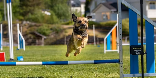 Lustrahoppet 29. - 31. mai 2026