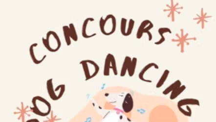 Concours Dog Dancing au Gymnase Yannick Duval \u00e0 Saint Pierre les Elbeuf (76)