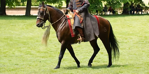 BALANS, DOSIAD, KOMUNIKACJA \u2013 Szkolenie z Aleksandrem Jarmu\u0142\u0105 w Stajni Bachmat