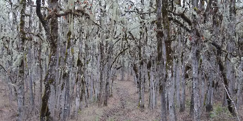 Hike: Mildred Kanipe Park