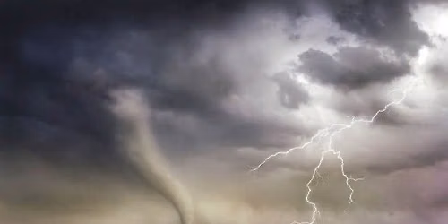 Wildlife Wonders: What is Weather?