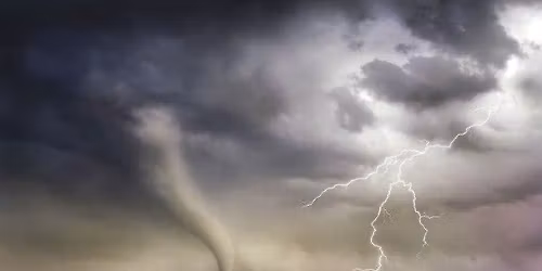 Wildlife Wonders: What is Weather?