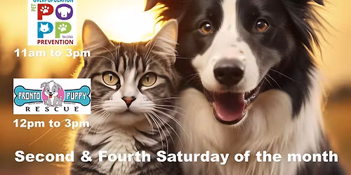 PetSmart Adoptions 2nd and 4th Saturday Dogs and Cats