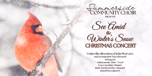 See Amid the Winter's Snow: Summerside Community Choir\u2019s Annual Christmas Concert