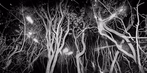 Gabriel Martinez: Artist Talk