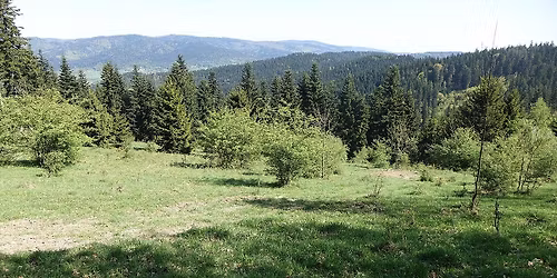 \u017bywiecka Korona Beskid\u00f3w (Miko\u0142ajki)