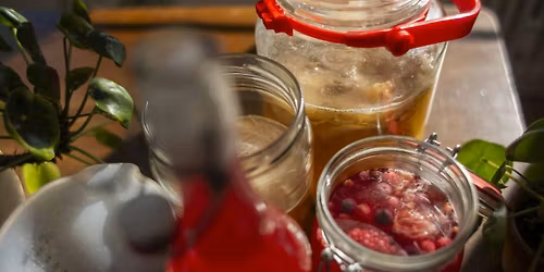 Kombucha Brewing Workshop