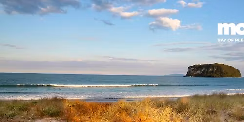 The Little Big Markets Whangamat\u0101 - Waitangi weekend \ud83c\udf34