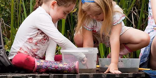 Family Event: Pond Dipping at Tyland Barn