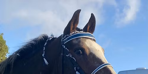 2026 Foreign Breeds National Finals