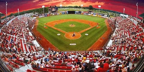 Delmarva Shorebirds at Carolina Mudcats