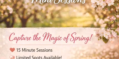 Apple Blossom Mini Sessions