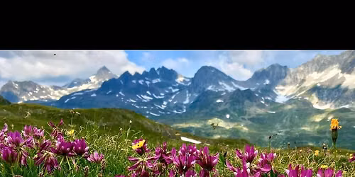 Swiss Alps Adventure