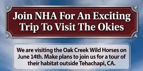 Oak Creek Wild Horses Tour