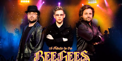 Jive Talkin Perform The Bee Gees