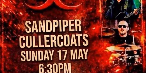 The Sandpiper Cullercoats