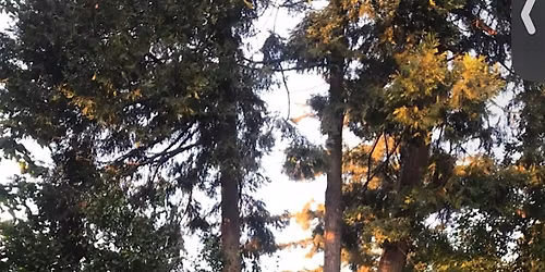 Full Moon Sound Bath