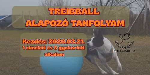 Treibball alapoz\u00f3 tanfolyam