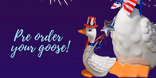 Silly Goose Night