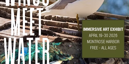 Immersive Art Exhibit :Where Wings Meet Water