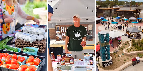 Sunday Market At Elm Street Plaza-Wisconsin Dells