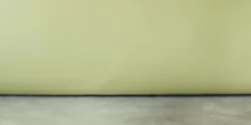 Laidlaw, Philip George, Bushbaby, Hayley Zalassi, Evie, Job de Jong in Aberdeen City