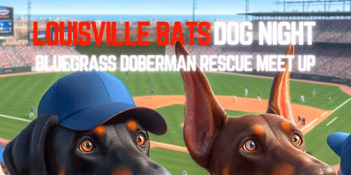 Louisville Bats BDR Meet Up