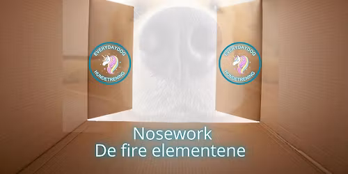 Nosework - de fire elementene
