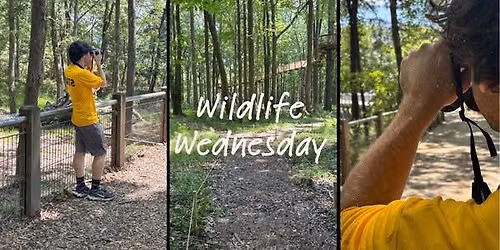 Wildlife Wednesday