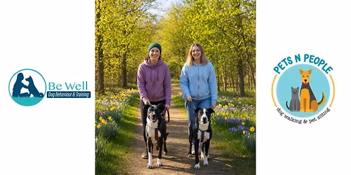 Walk With Us - A Group Dog Walking Experience