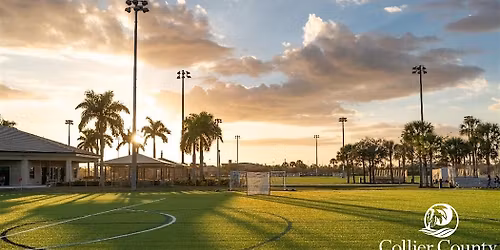 PEMF & THz Therapy Experience