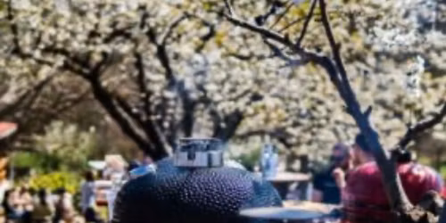 VII. Balatoni F\u00fcst\u00f6lg\u0151 Klub