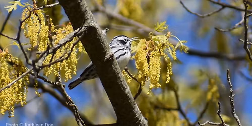 Field Trip: Wildwood Cemetery