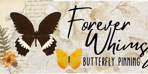 Forever Whimsy: Butterfly Pinning Workshop