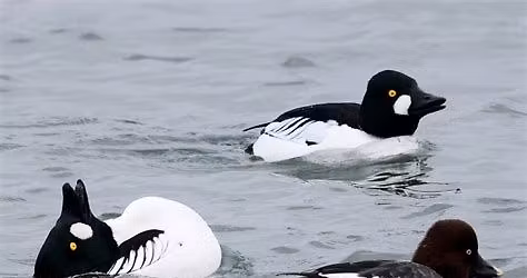 Oquirrh Lake\u2014EASY