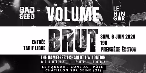 VOLUME BRUT l 1\u00e8re \u00e9dition - After Journ\u00e9es Chatillonnaises - 1 an du Hangar