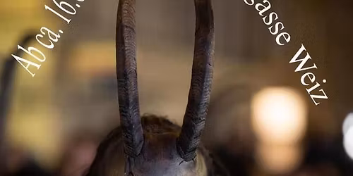 Weizer Krampuslauf 2025