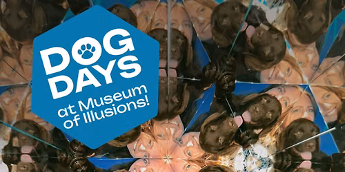 Dog Days at Museum of Illusions