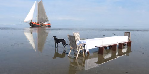 Zeilen op de Waddenzee. Droogvallen. Eiland. Samen koken aan boord.